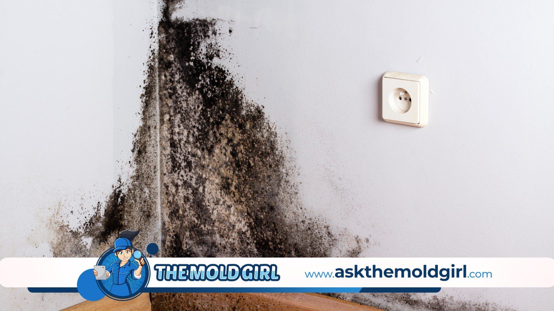 In the event that I detect mold in my home, what should I do next?