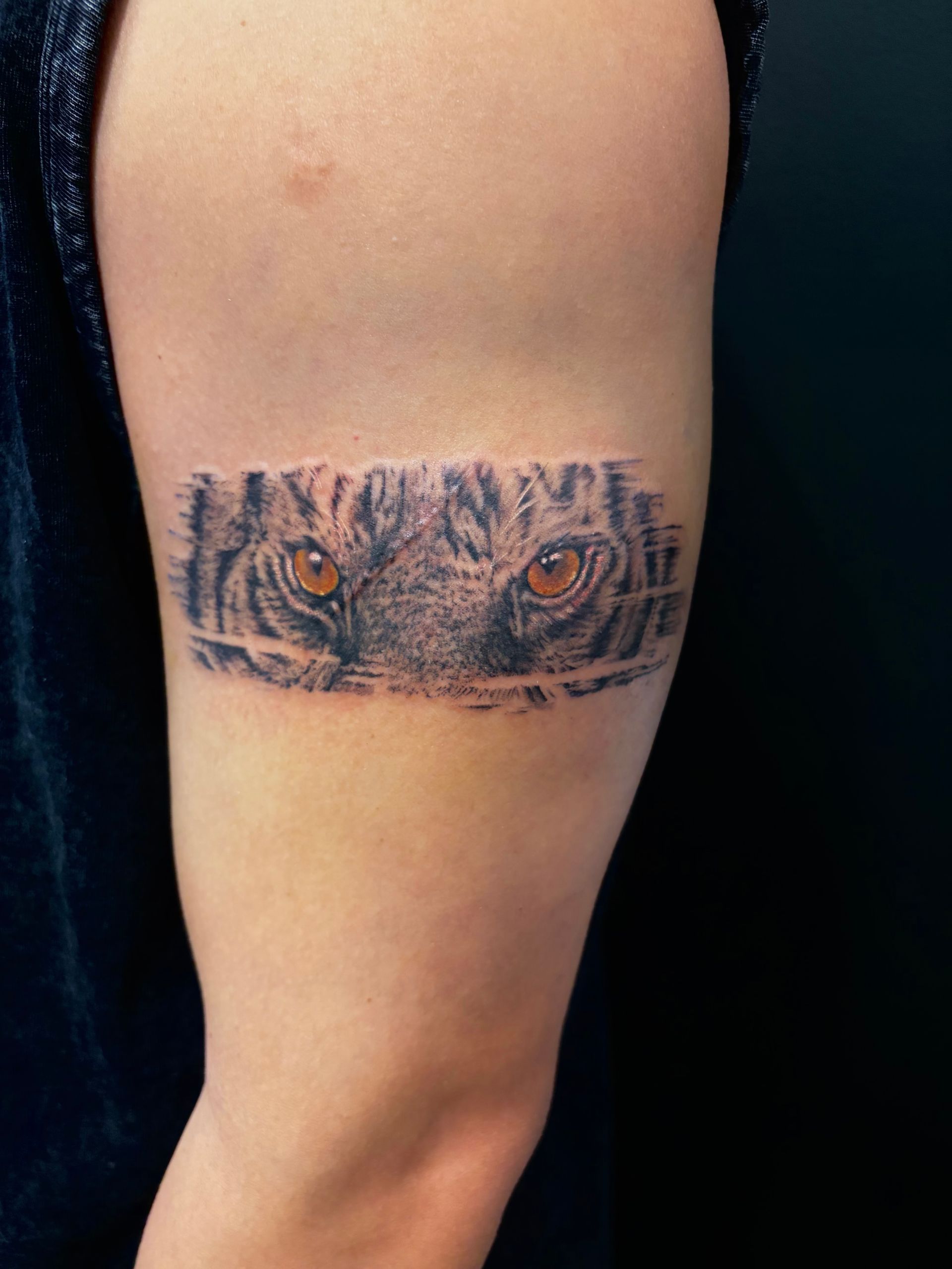 Black and white tattoo of a rose on an arm; the stem has thorns.