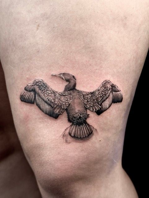 Black and gray tattoo of a cormorant bird with outstretched wings on skin.