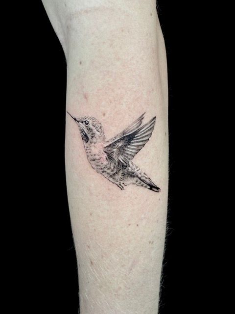 Black and white hummingbird tattoo on a person's arm, wings spread in flight.