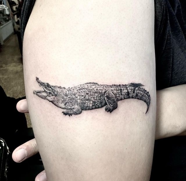 Black and white tattoo of an alligator on a person's arm.