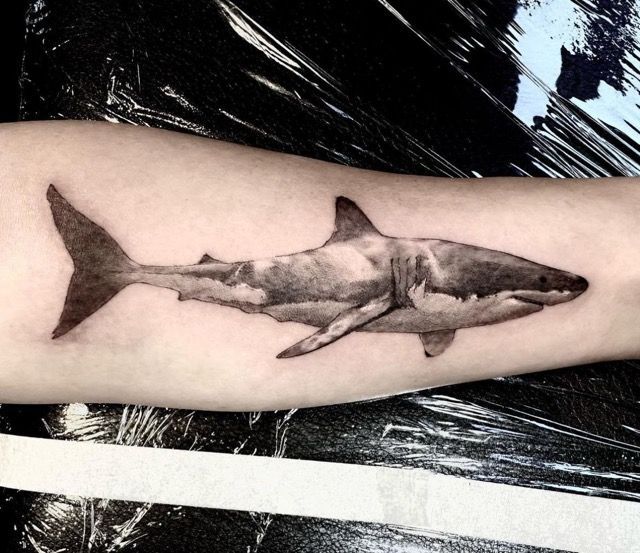 Black and white shark tattoo on a forearm.