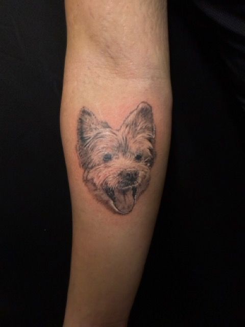 Tattoo of a smiling dog's face on a person's arm. Black and white portrait with tongue out.