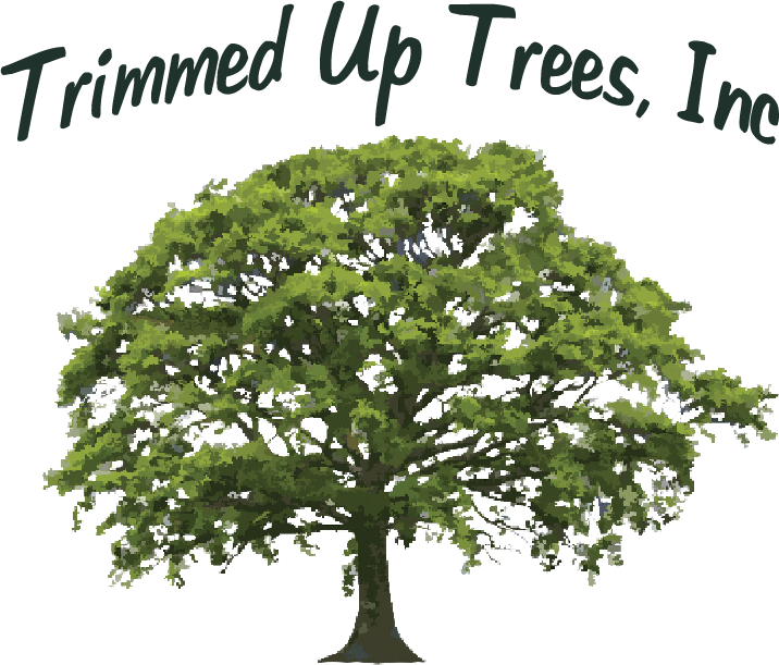 Logo: Green tree with 