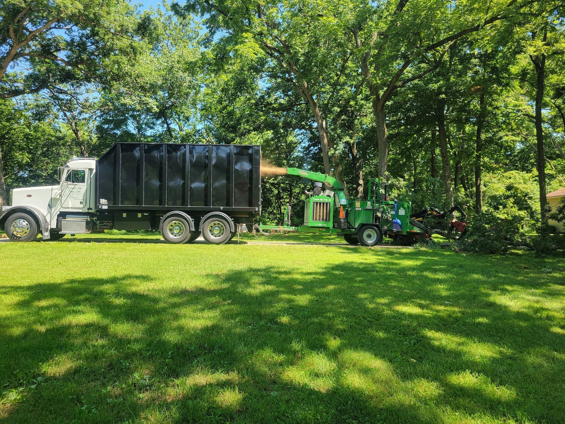 Truck and wood chipper in yard, processing tree debris. Green grass, bright sunny day.