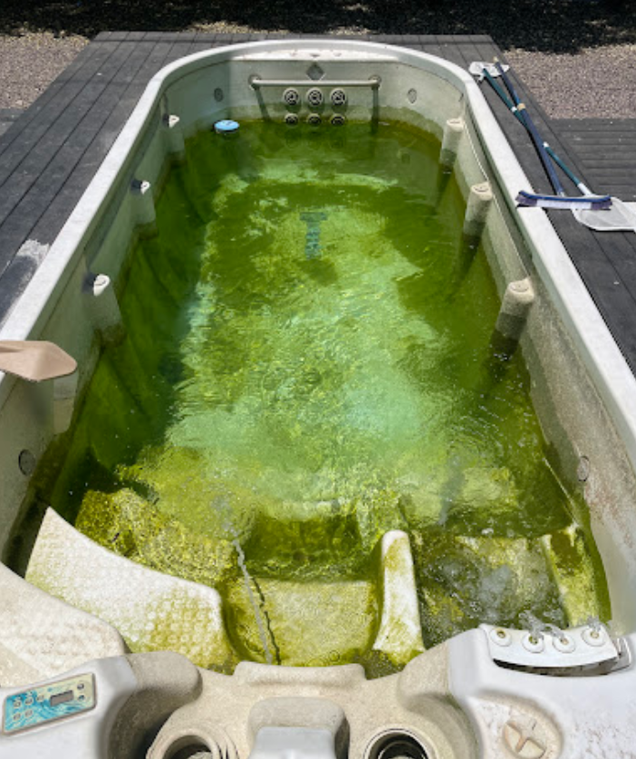 A swimming pool filled with green algae is sitting on a wooden deck.