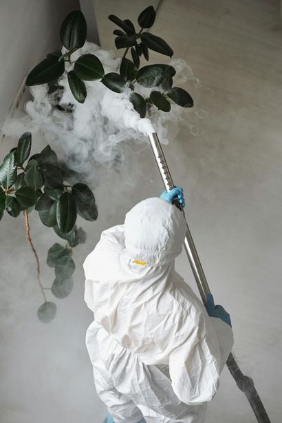 A person in a protective suit is spraying a plant with a sprayer.