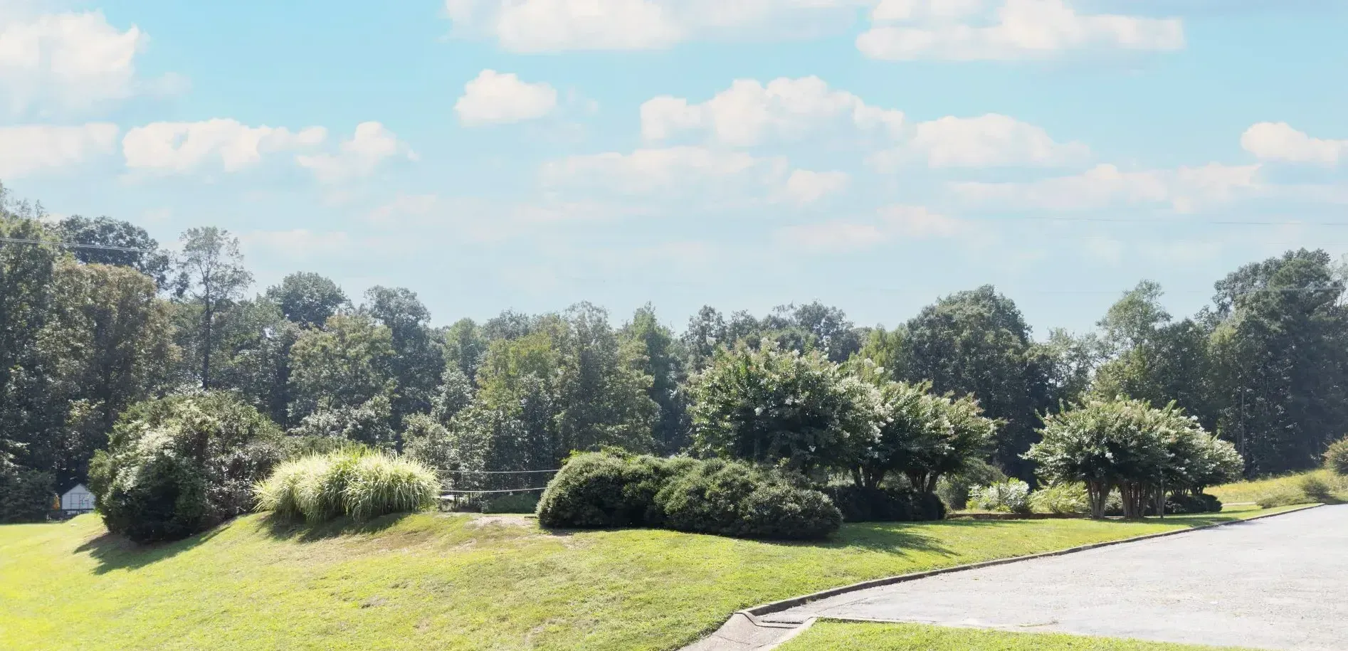 A road going through a grassy field with trees in the background.