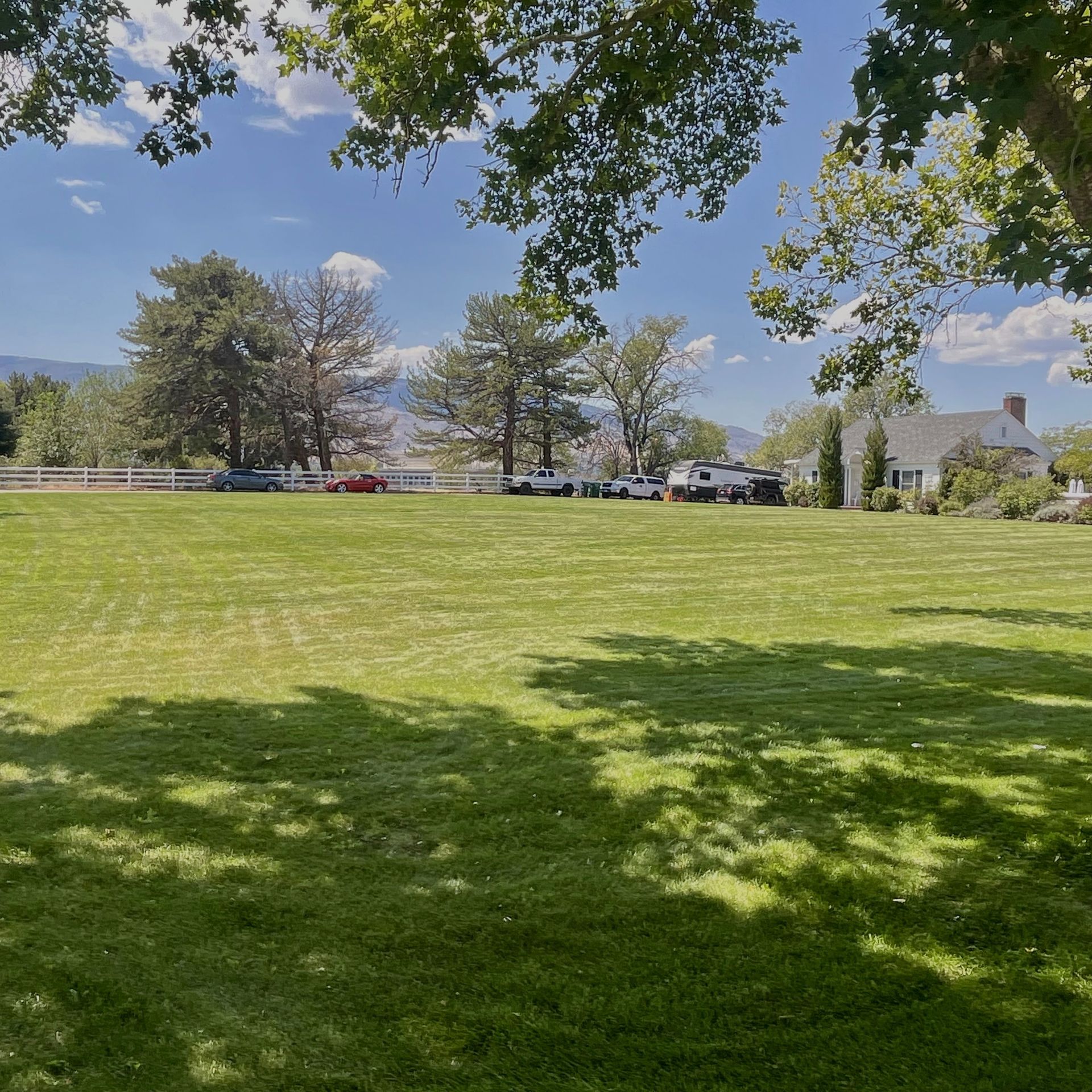 Professional landscaping service maintaining commercial property in Reno Nevada with irrigation system