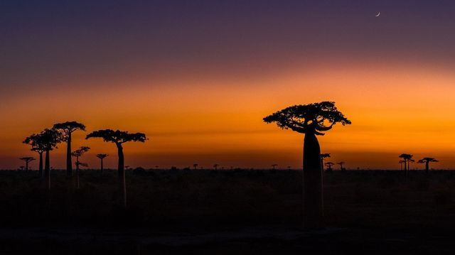 BBC: FILMING FOR EARTH'S TROPICAL ISLANDS