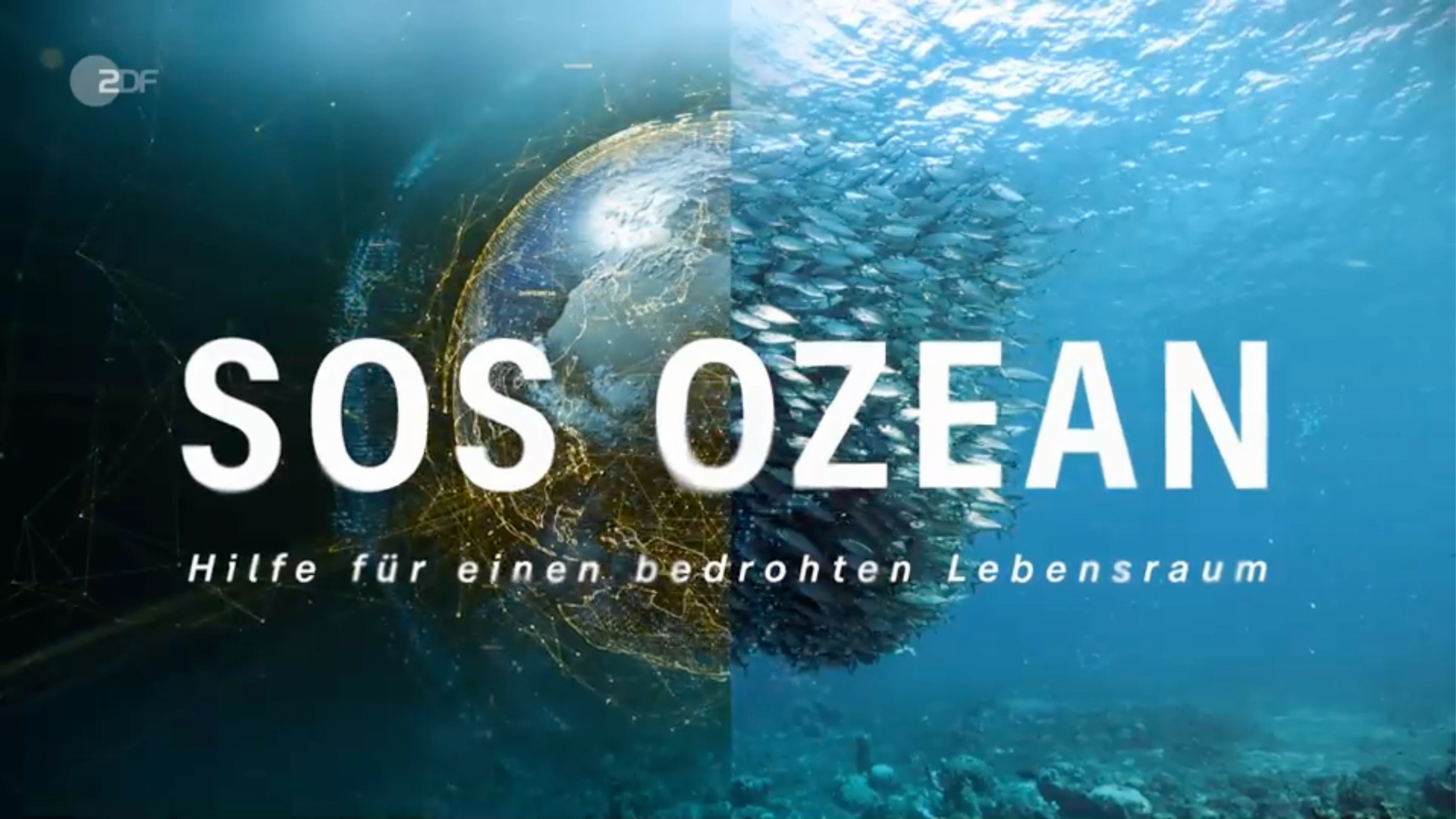 Ocean conservation, marine conservation, ZDF, Chris Scarffe, DOP, Conservation filmmaker