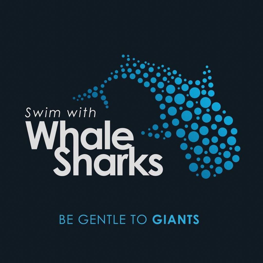 The code of conduct for swimming with whale sharks program was launched in the Maldives