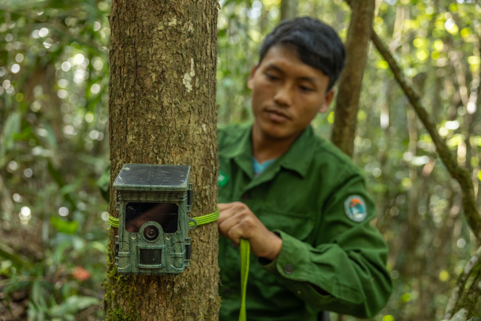 CCT Ranger, Duong Van Dung sets a camera trap in a project supported by WildAct 