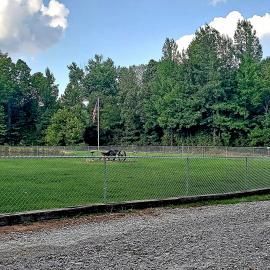 Fenced grassy field with a small black horse near the center, backed by trees and a gravel foreground
