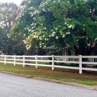 White fence along a tree-lined roadside with blooming flowers and a house partially visible behind the trees