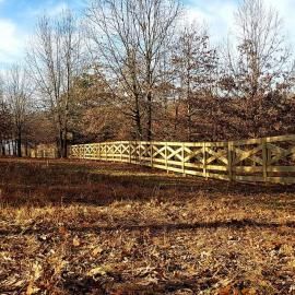 Wooden fence along a leaf-covered path in a bare woodland under a blue sky