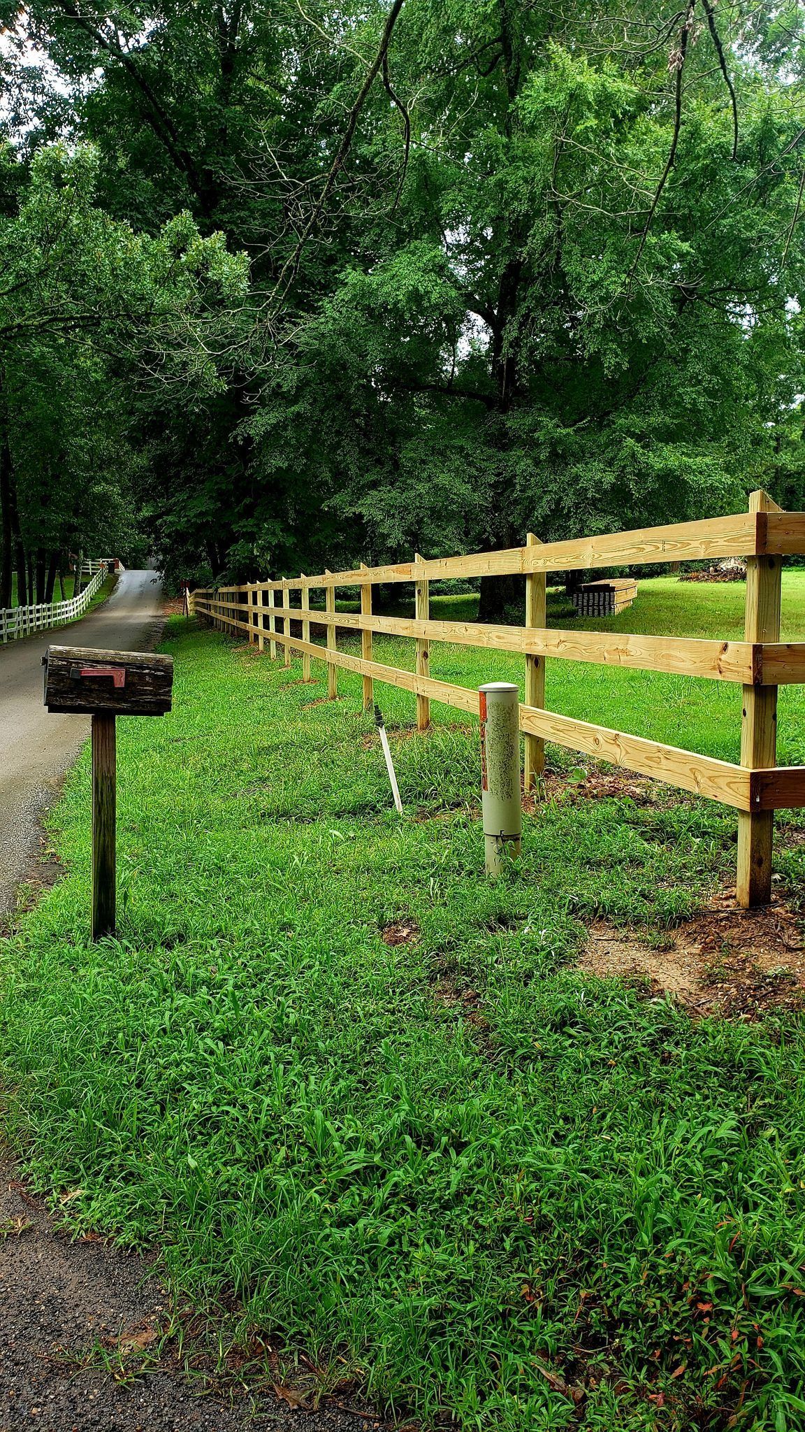 Gravel path beside a wooden fence under dense green trees after rain