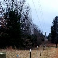 Rural roadside with utility poles, power lines, bare trees, and a grassy field under an overcast sky