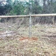 Wooden fence post and rail in a grassy wooded clearing