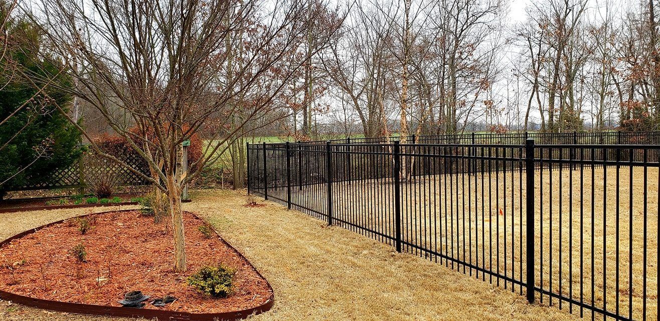 Black metal fence beside a leafless tree-lined yard with mulch beds and a tan grassy path