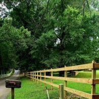 Wooden fence along a green wooded path with a mailbox in the foreground