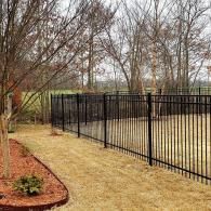 Black metal fence along a tan grassy path beside leafless trees in a yard