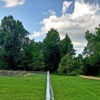 Lush green park with a narrow white fence leading into trees under a cloudy sky