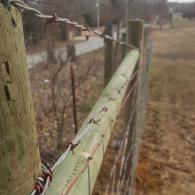 Rusty barbed-wire fence along a weathered green post in a rural field