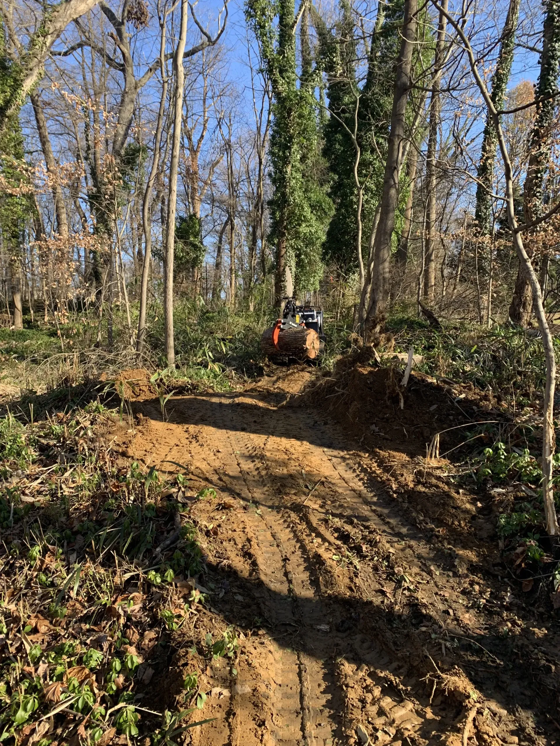 A person is riding an atv down a dirt road in the woods.