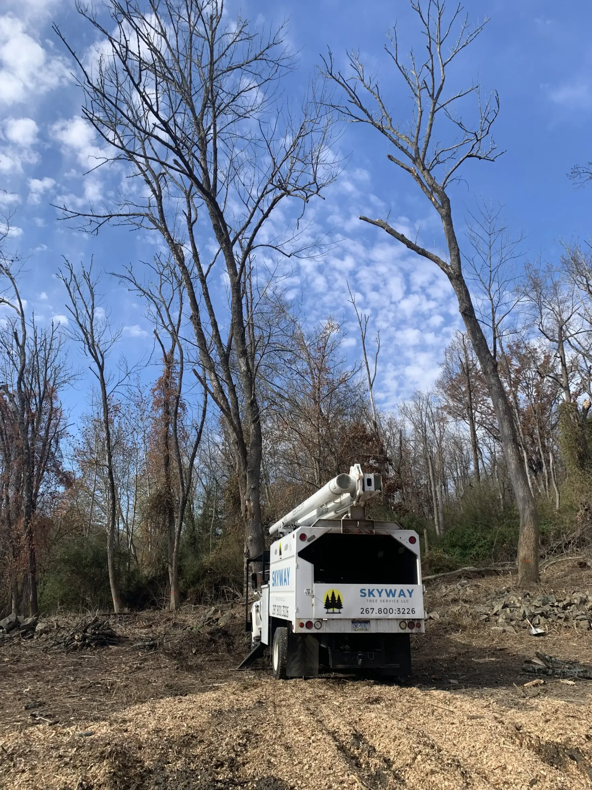 A tree chipper is sitting in the middle of a forest.