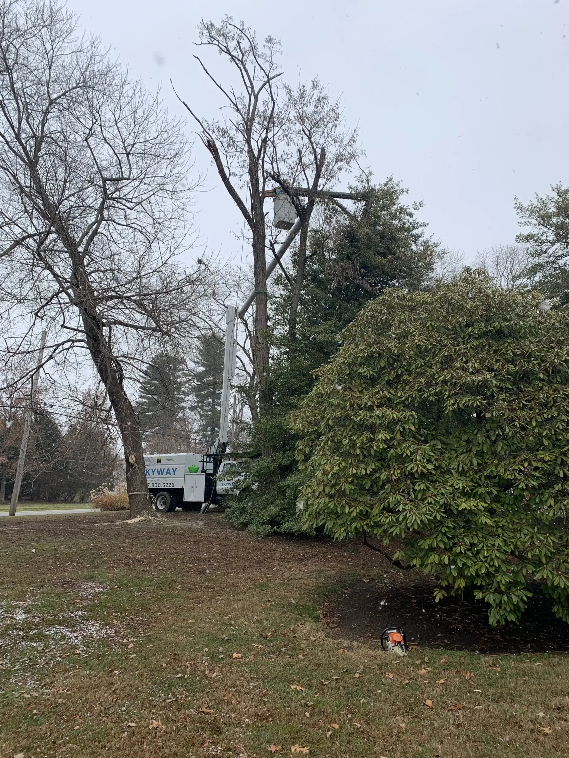 A tree cutting truck is cutting a tree in a park.