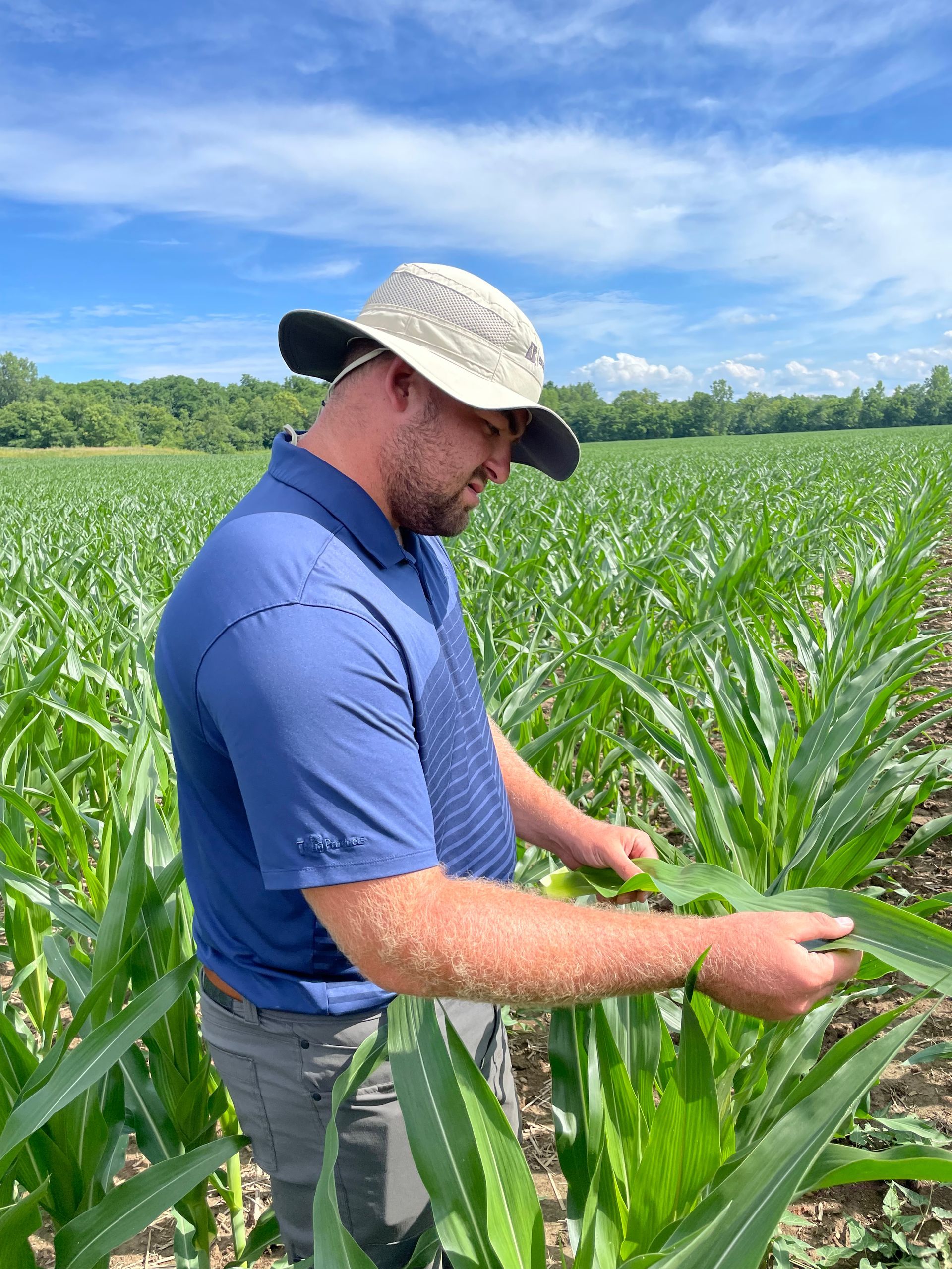 Tri-Ag expert scouting the field.
