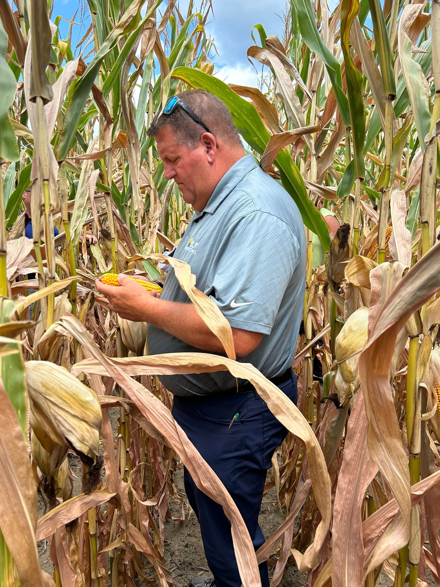 Thad Moore in corn field.