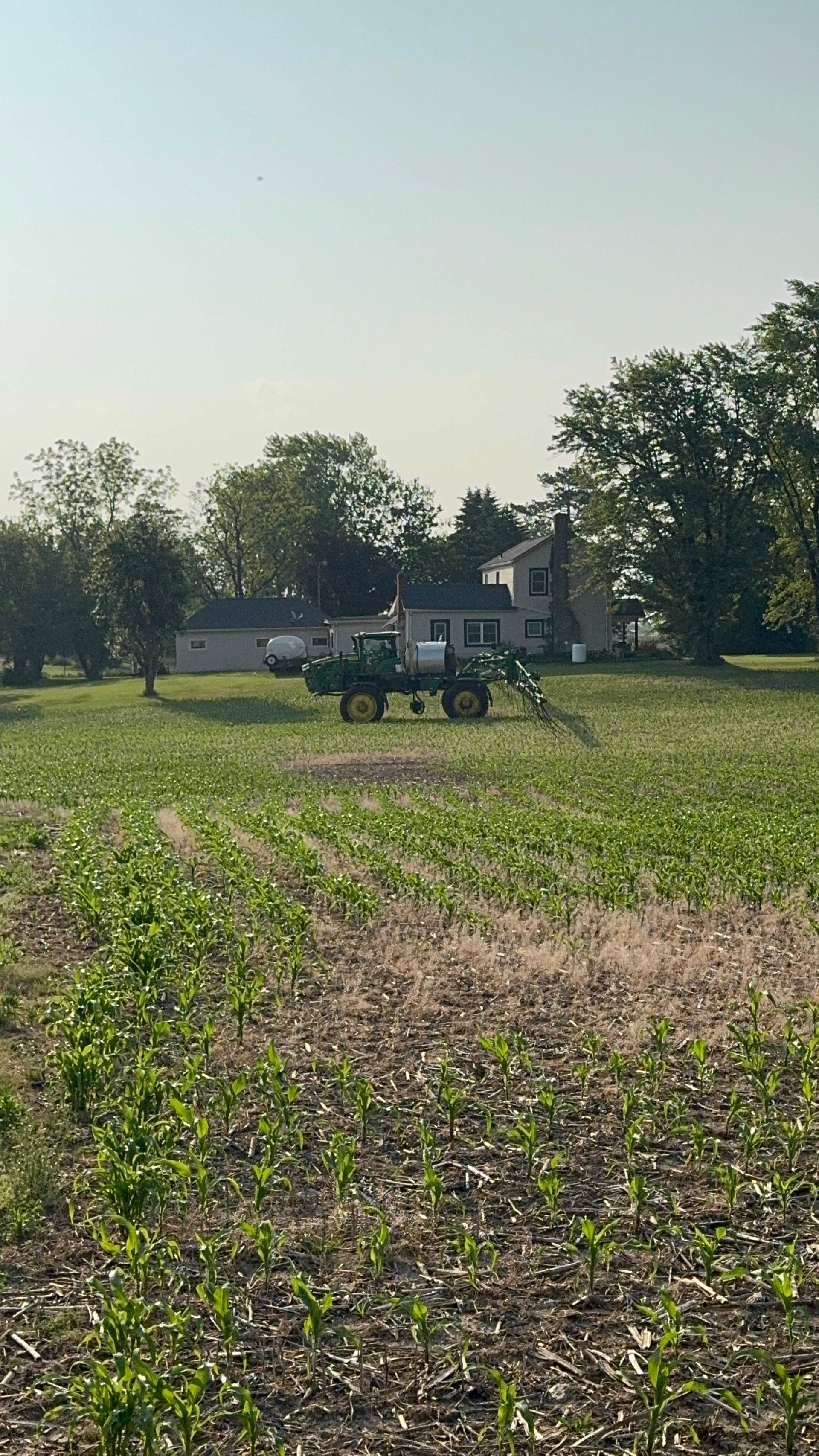 A sprayer sidedressing field.