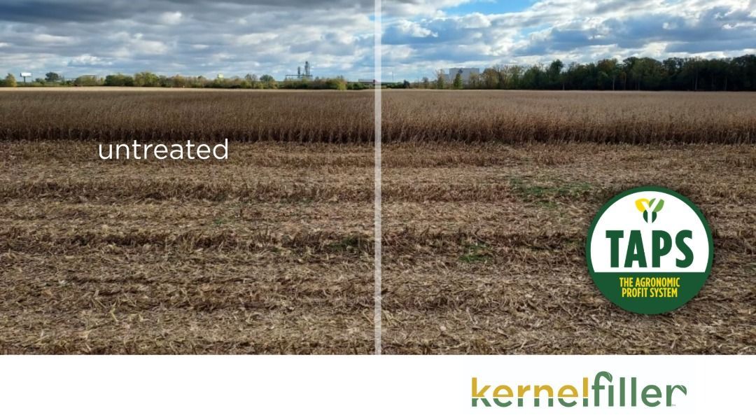 Finish Strong with KernelFiller™