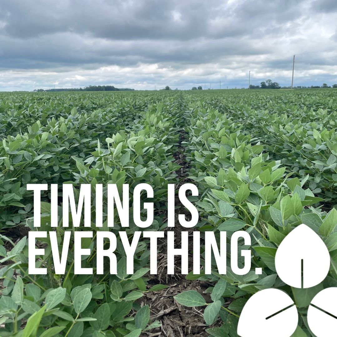 Timing Is Everything at Yield Innovations and Tri-Ag