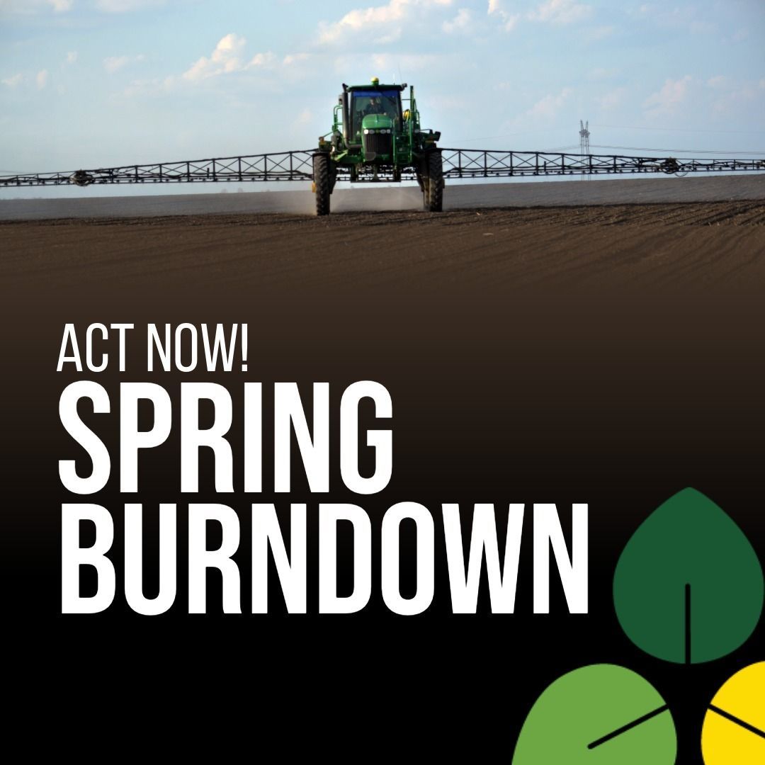 Act now!  Spring Burndown