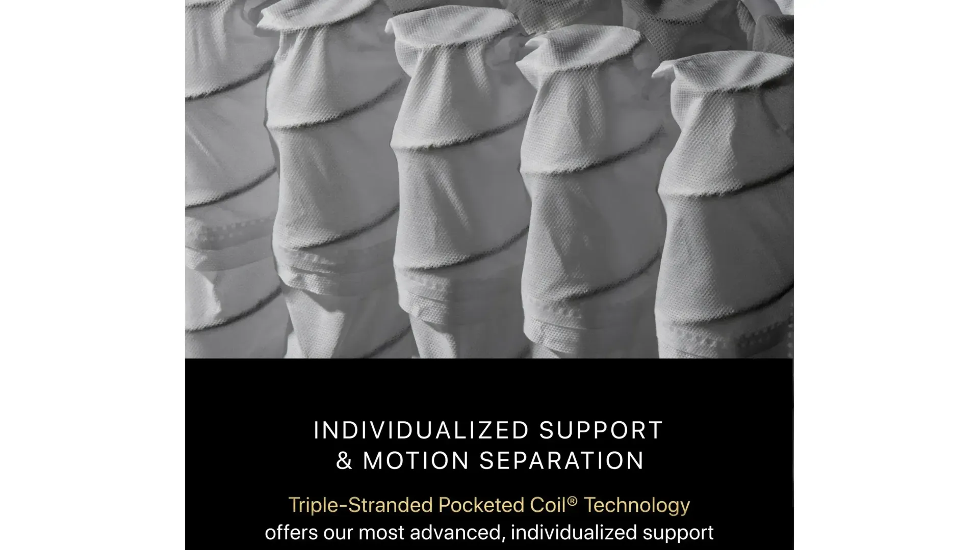 A black and white photo of a mattress with the words dualized support and motion separator on the bottom