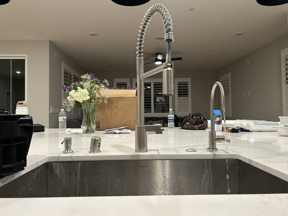 Stainless steel kitchen sink with faucet and spray head, flowers, and a partially open cabinet.
