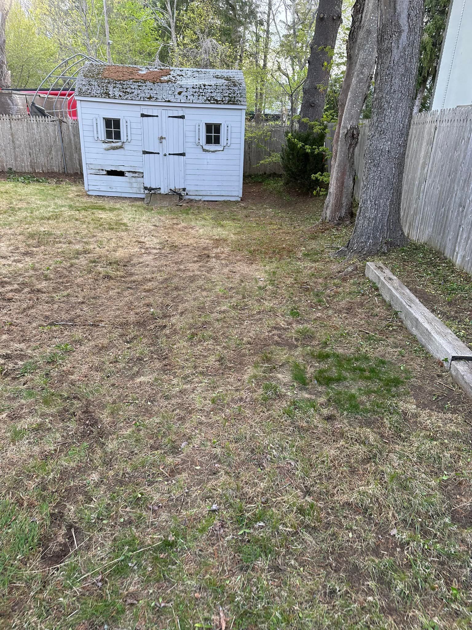 Dilapidated light blue shed in a grassy yard, next to a tree.