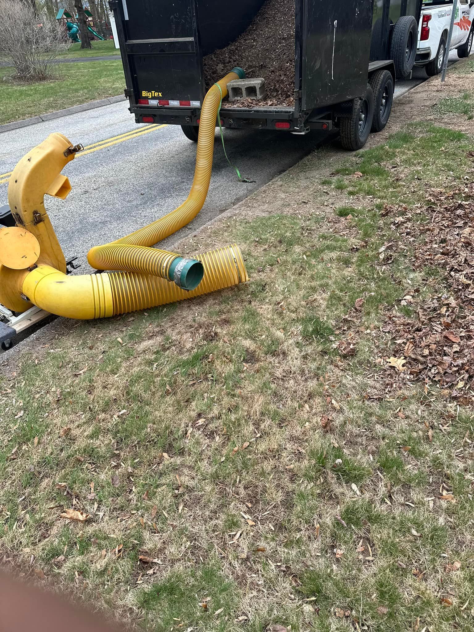 Yellow leaf vacuuming hose emptying leaves into a black trailer parked on a grassy verge.