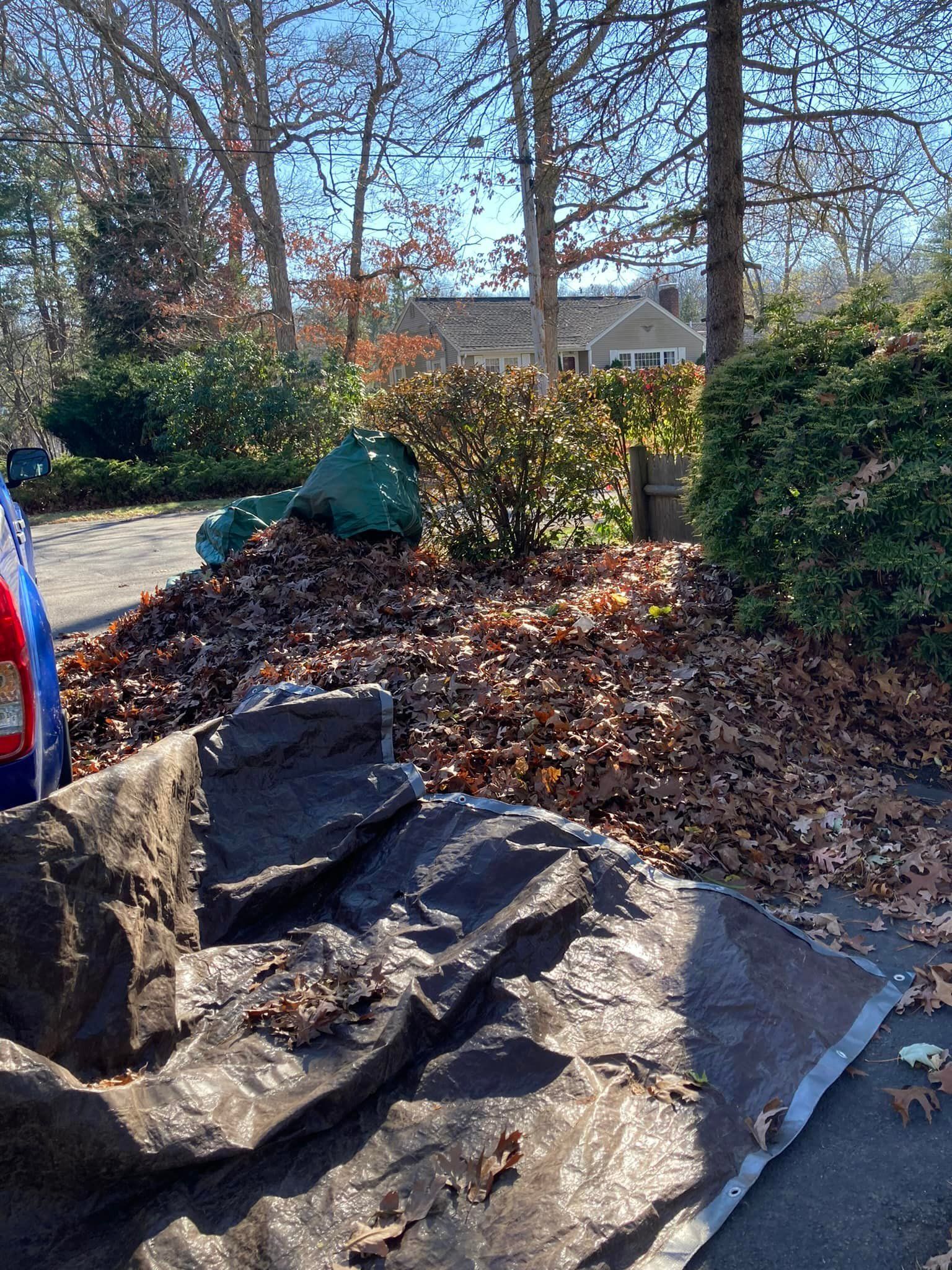 Pile of brown leaves with green bags on a tarp, driveway, trees and house in the background.