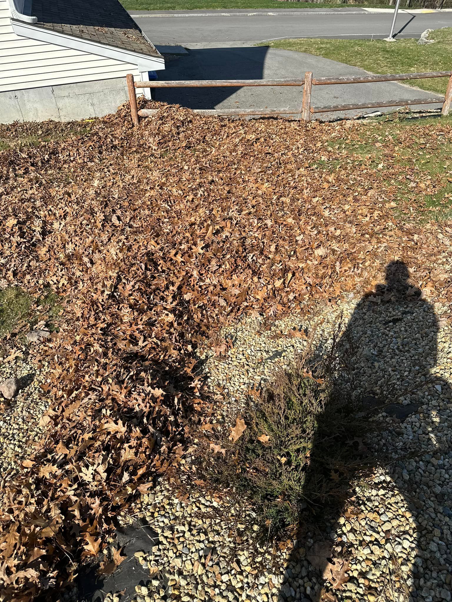 Pile of brown leaves on gravel with a person's shadow. Wooden fence and sidewalk visible.