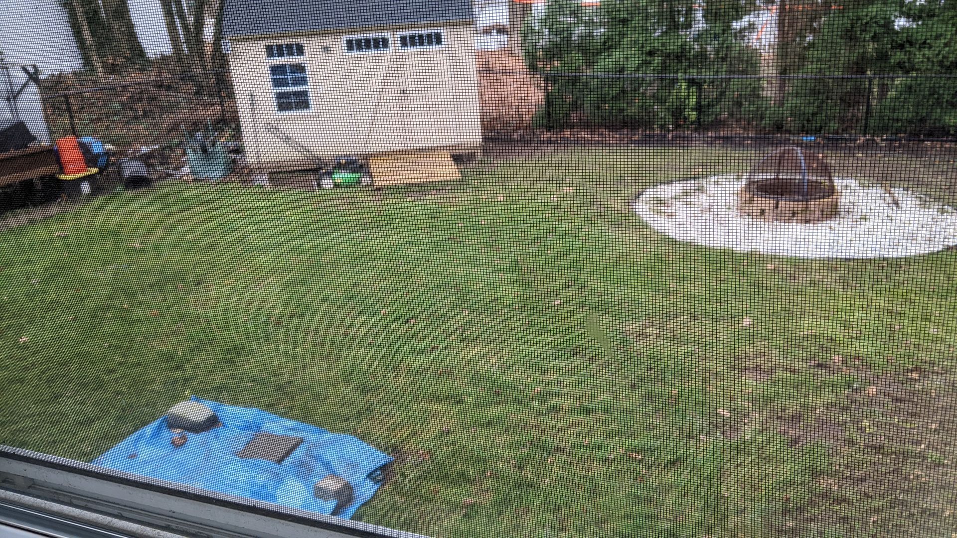 Backyard view: grassy lawn, shed, fire pit, blue tarp with items, and screen.