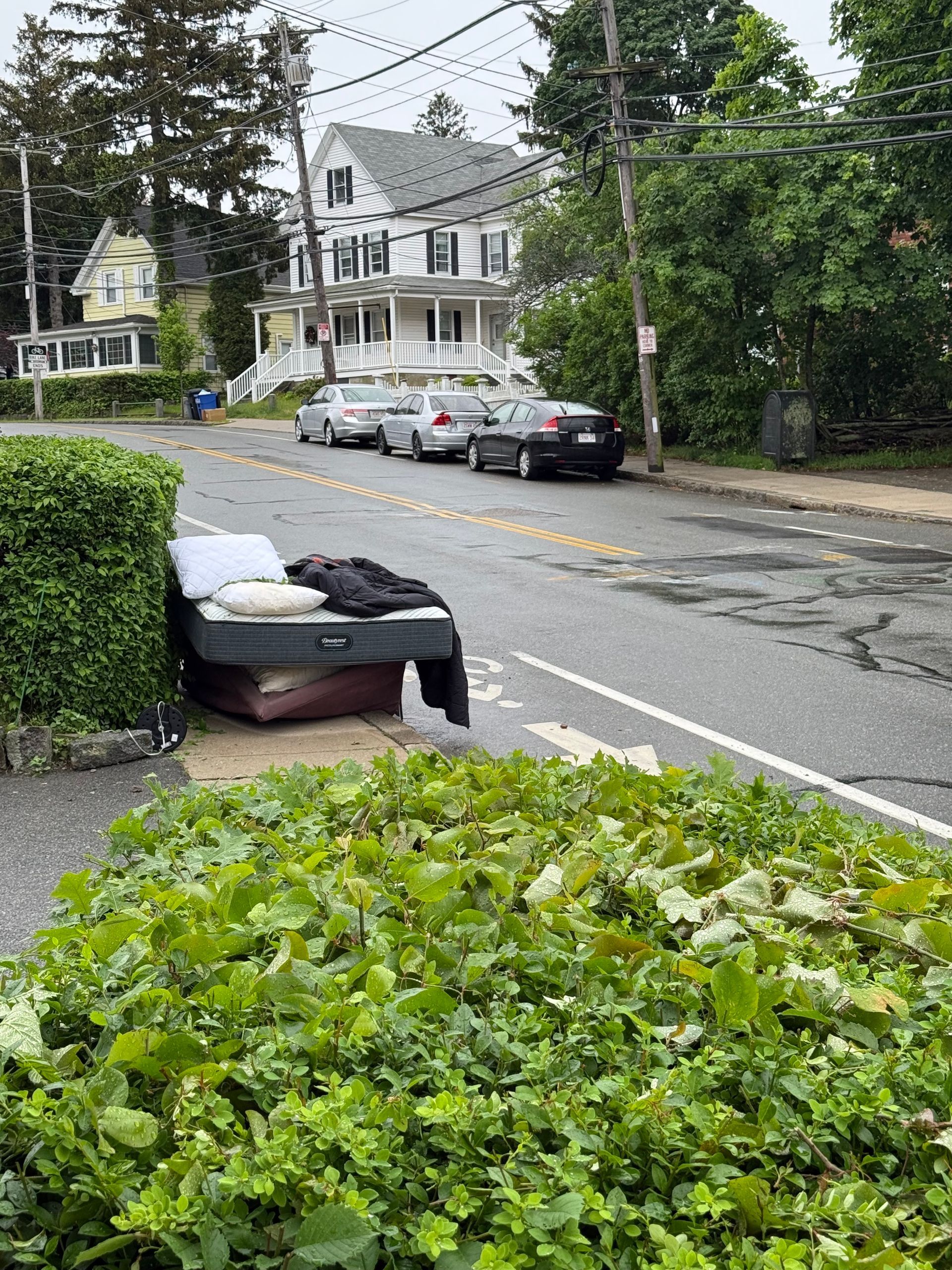 Mattress and bedding discarded on a curb next to a hedge and road with parked cars and houses in the background.