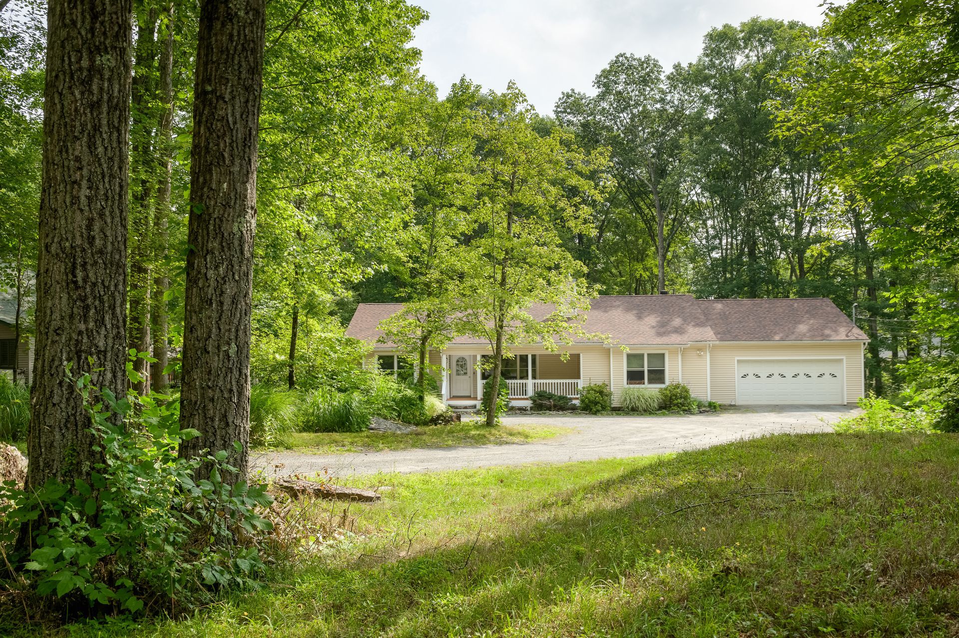 A house in the middle of a forest with trees in front of it