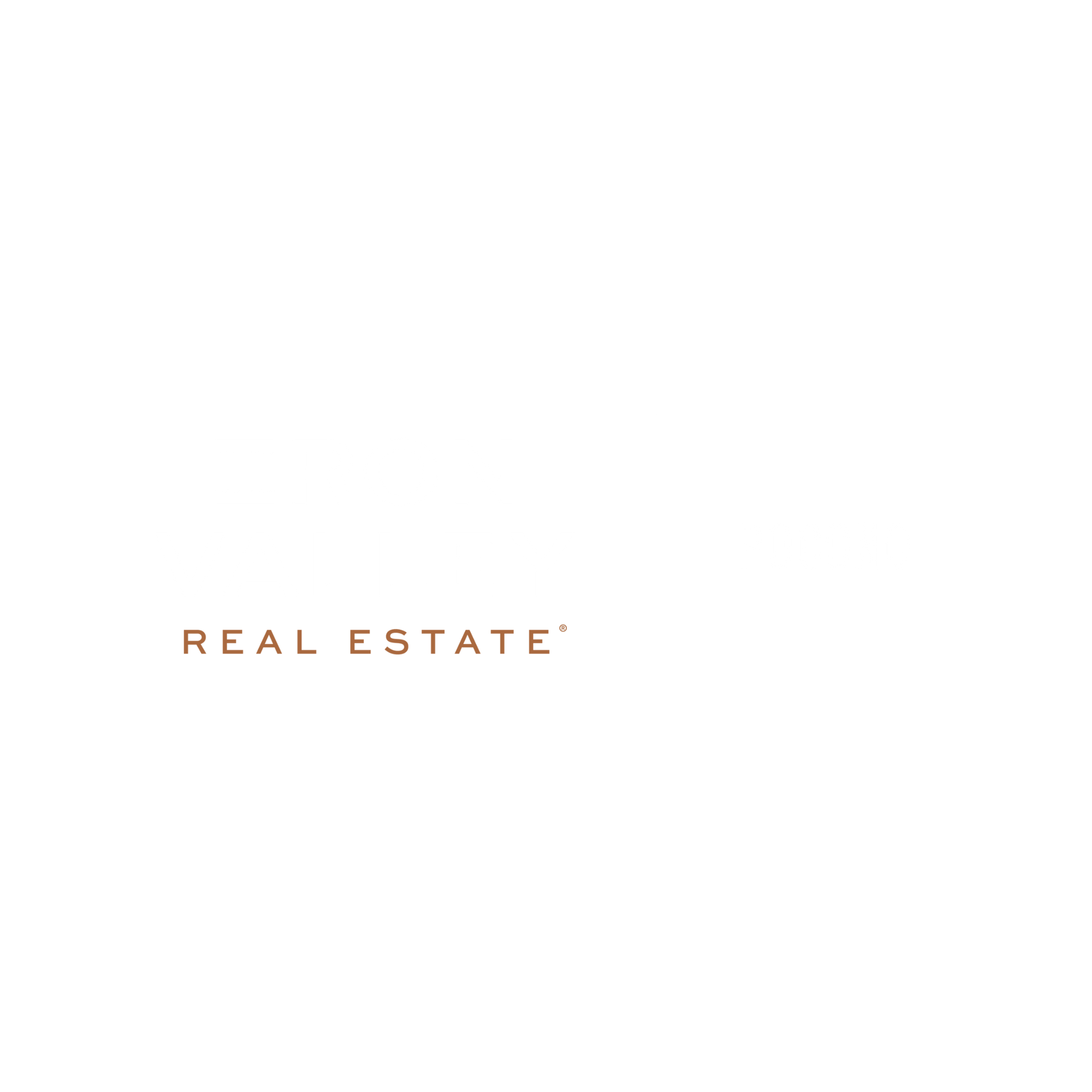 iron valley real estate logo