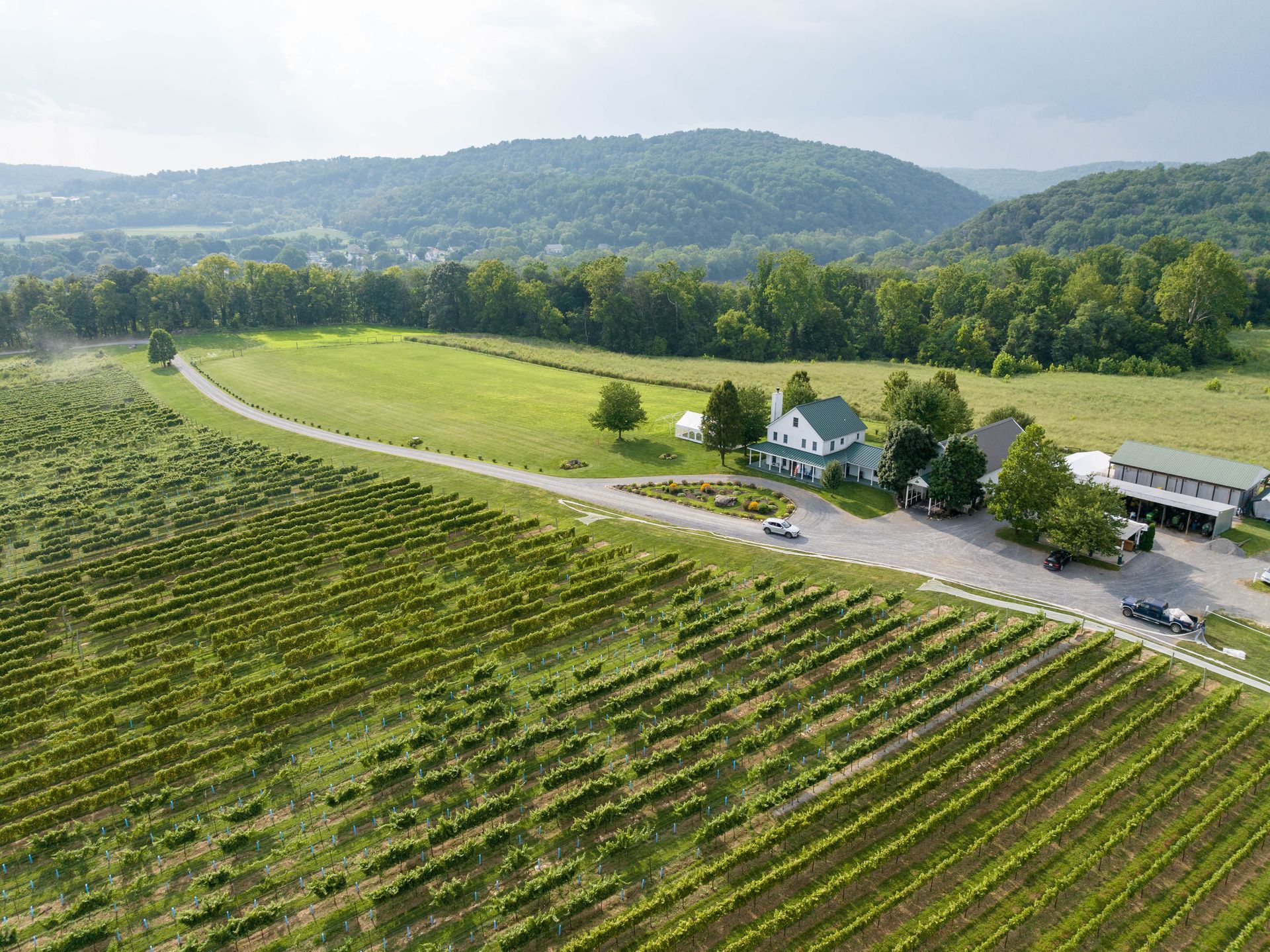 An aerial view of a vineyard with mountains in the background.