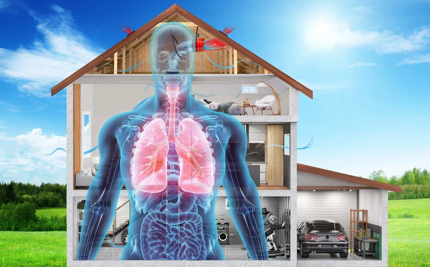 A cross section of a house with a skeleton of a human body and lungs.