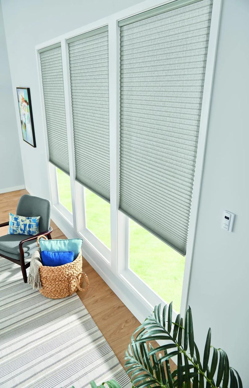 A living room with three windows , a chair , a plant and blinds.